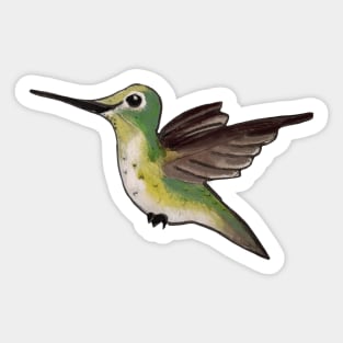 Hummingbird Sticker